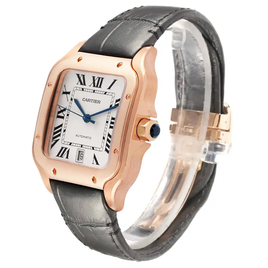 Cartier Santos de Cartier Men Automatic Silver Alligator Watch WGSA0019